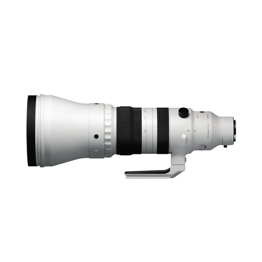 Sigma 300-600mm f/4 DG OS